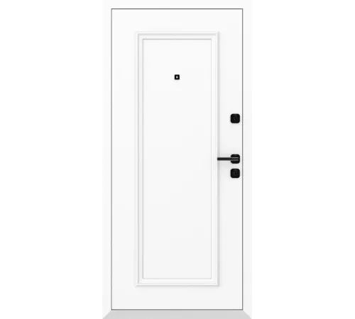 Входная дверь Входная дверь AG6003 7024 - Белый камень 9016