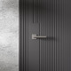 Межкомнатная дверь Эмаль RIFF RF01
